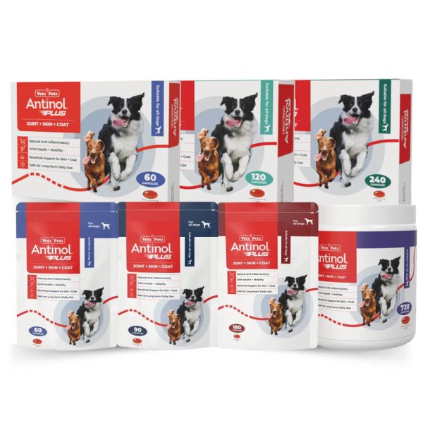 Antinol Plus for Dogs