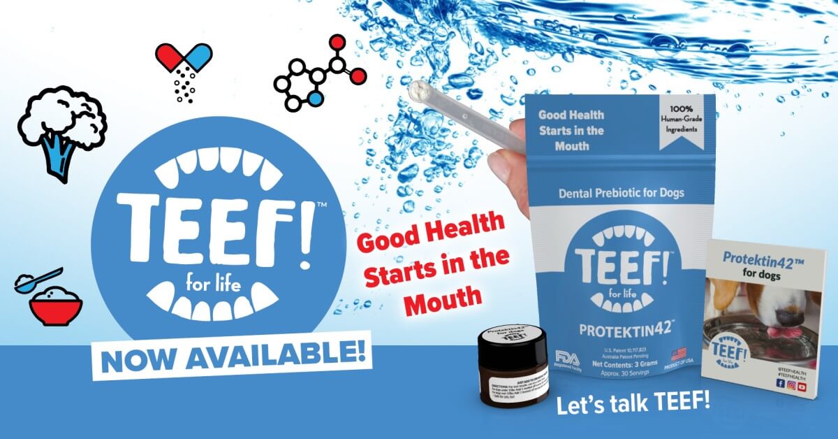 TEEF! Dental Care Powder Water Additive for Dogs