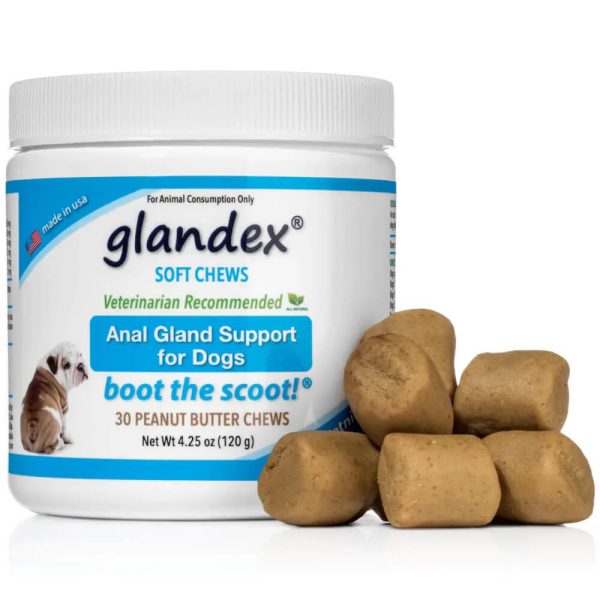 Glandex Anal Gland Support Chews for Dogs