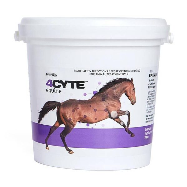 4CYTE Equine Granules