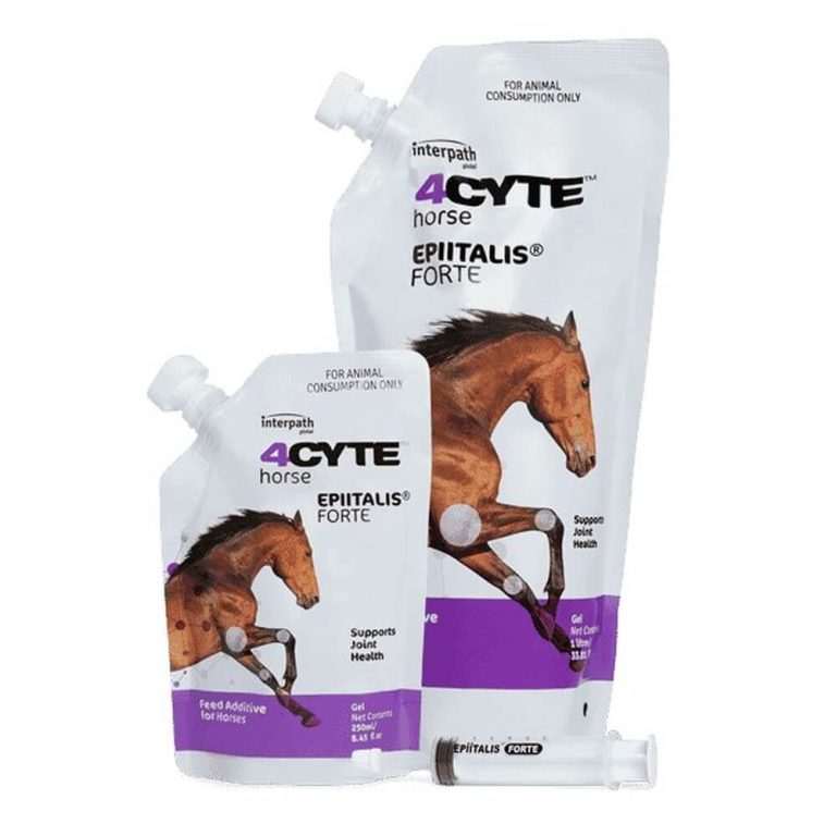 4CYTE Horse Epiitalis Forte Gel Equine Epic Pet