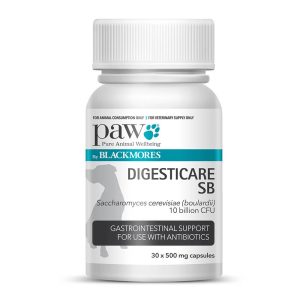 PAW Digesticare SB Dog Probiotic